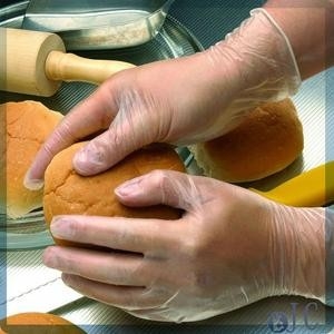 powdered&amp; 자유로운 비닐 장갑/비 메마른 처분할 수 있는 pvc 장갑에 의하여 강화된 제조자 강화하십시오